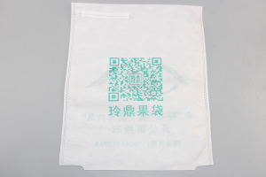 綠色無紡布套袋
